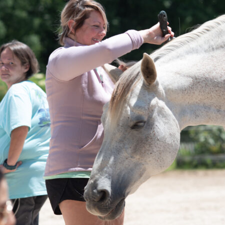 Person brushing horse