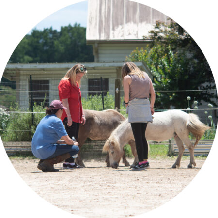 People outside with horses