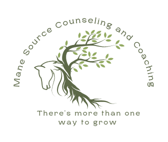 Mane Source Counseling and Coaching